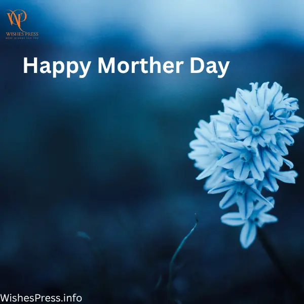 Creative Ideas to Celebrate Mother’s Day
