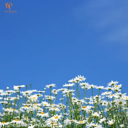 For Wife or Partner on Mother’s Day 
