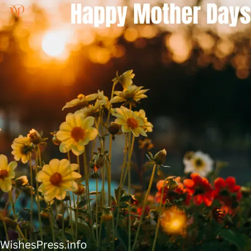 Happy Mothers Day Wishes From Husband Messages & Examples
