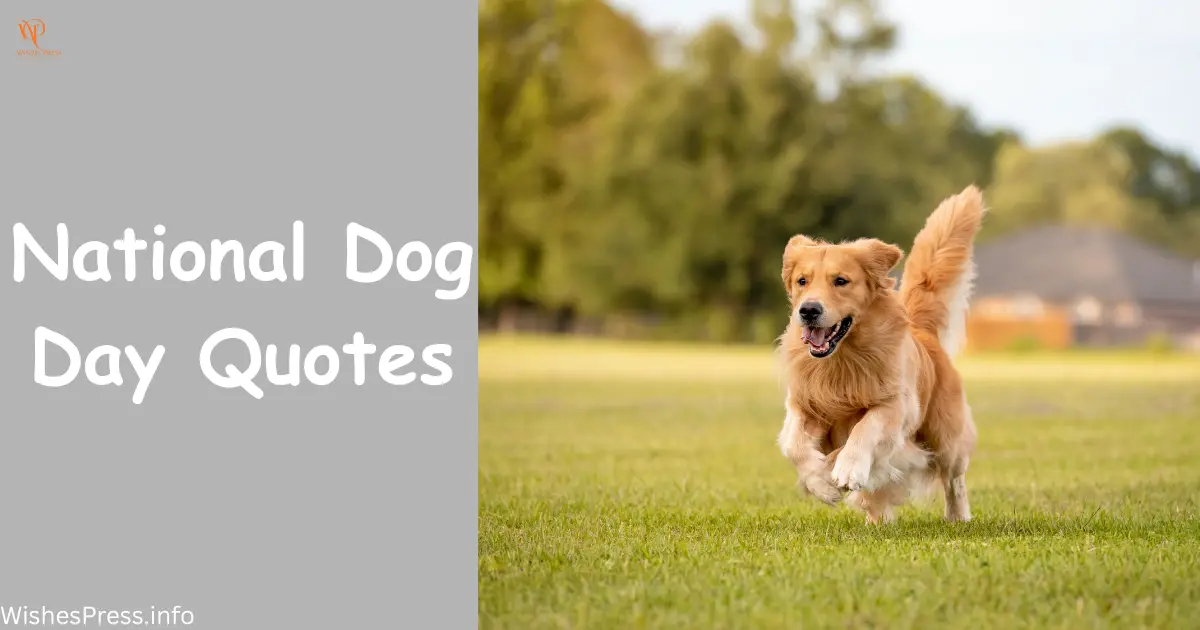 National Dog Day Quotes